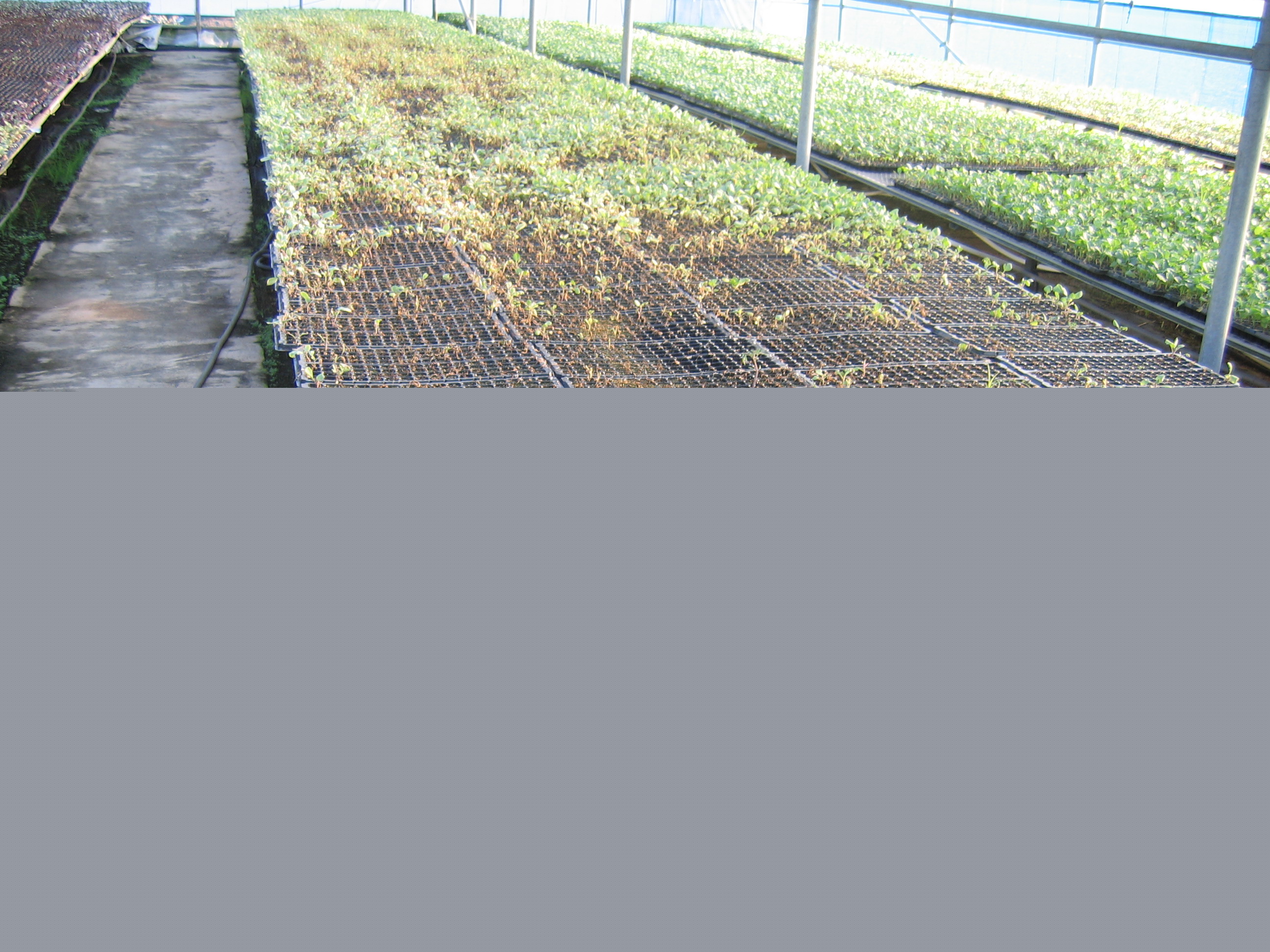 천연염색상품화 기술교육(2회차)